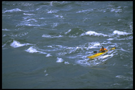 Surfing White Water