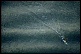 Kayaking Swells.